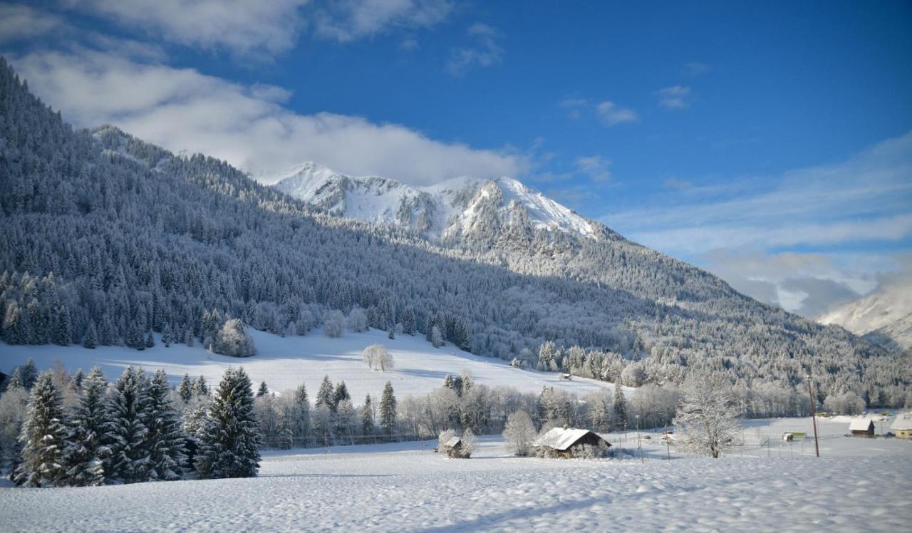 شاتيل Chalet Cannelle المظهر الخارجي الصورة